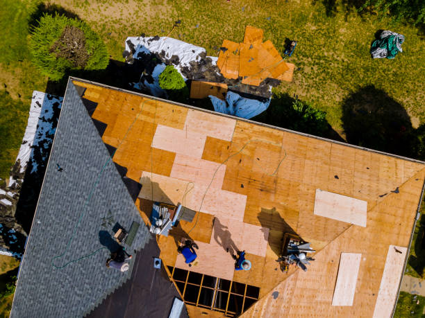 Quick and Trustworthy Emergency Roof Repair Services in Shaw, MS